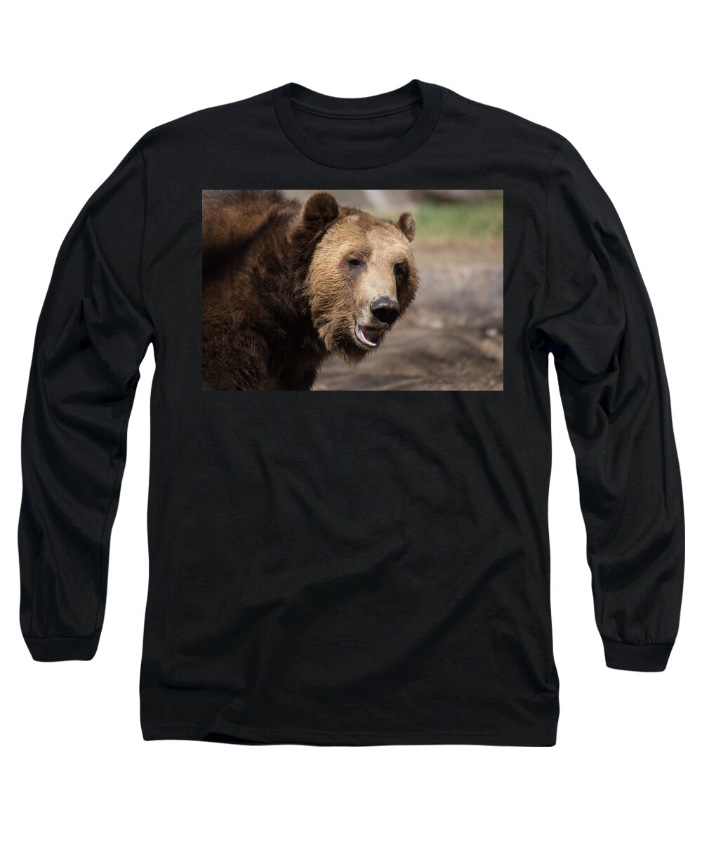 Grizzly Bear Long Sleeve T-Shirt featuring the photograph Here's Looking at you by ChelleAnne Paradis