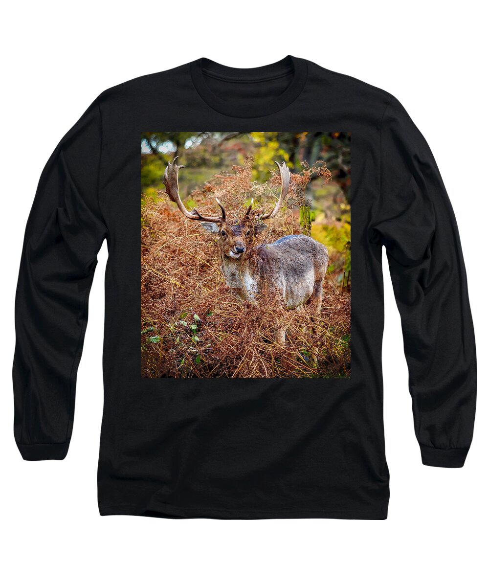 Deer Long Sleeve T-Shirt featuring the photograph Hiding in the Bracken by Nick Bywater