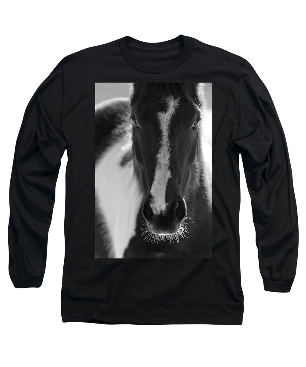 Horse Long Sleeve T-Shirt featuring the photograph iContact by Evelina Kremsdorf
