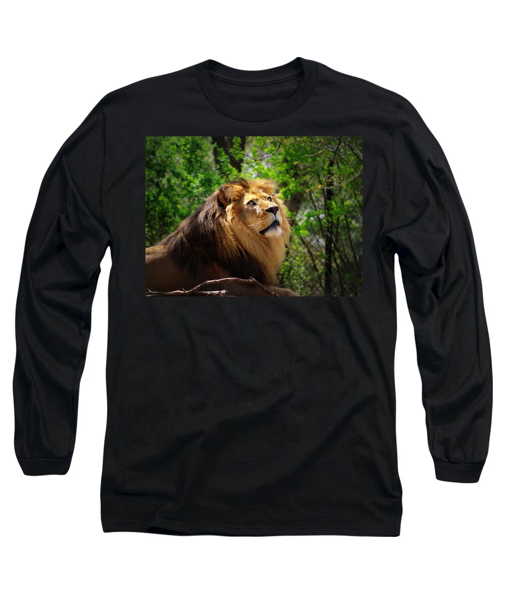 Lion Long Sleeve T-Shirt featuring the photograph In Awe of You by Linda Mishler