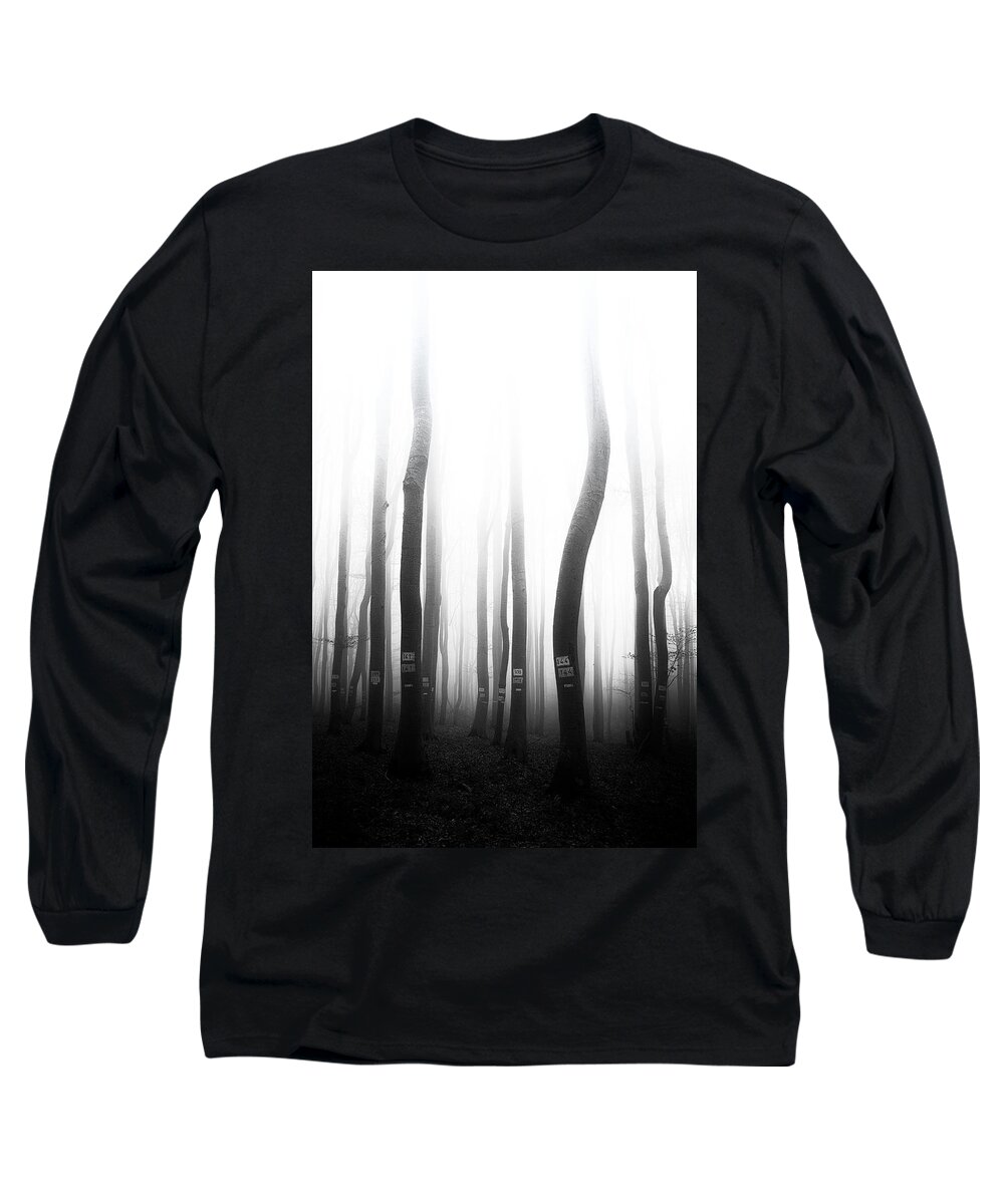 Mist Long Sleeve T-Shirt featuring the photograph In the misty forest by Plamen Petkov
