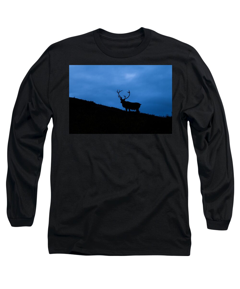 Alaska Long Sleeve T-Shirt featuring the photograph Into the Night by Scott Slone