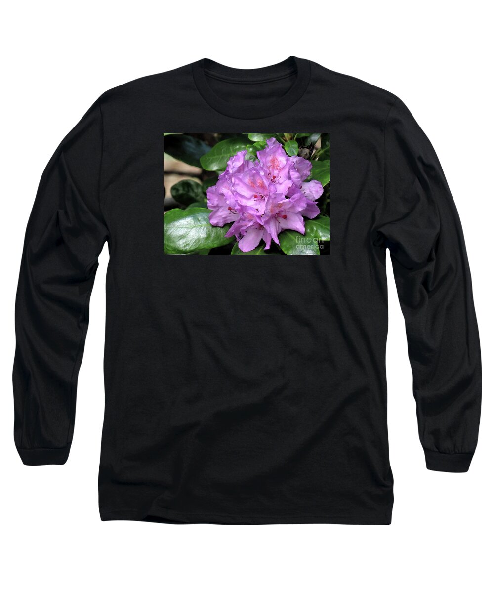 Rhododendron Long Sleeve T-Shirt featuring the photograph June Daphnoides by Chris Anderson