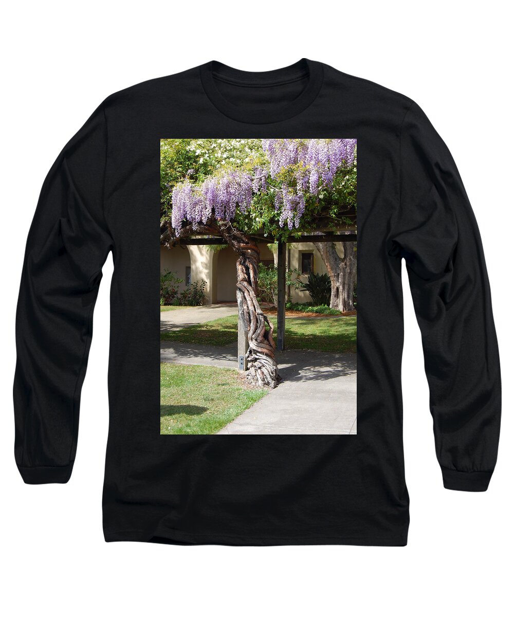 Wisteria Long Sleeve T-Shirt featuring the photograph Knarled Wisteria by Carolyn Donnell