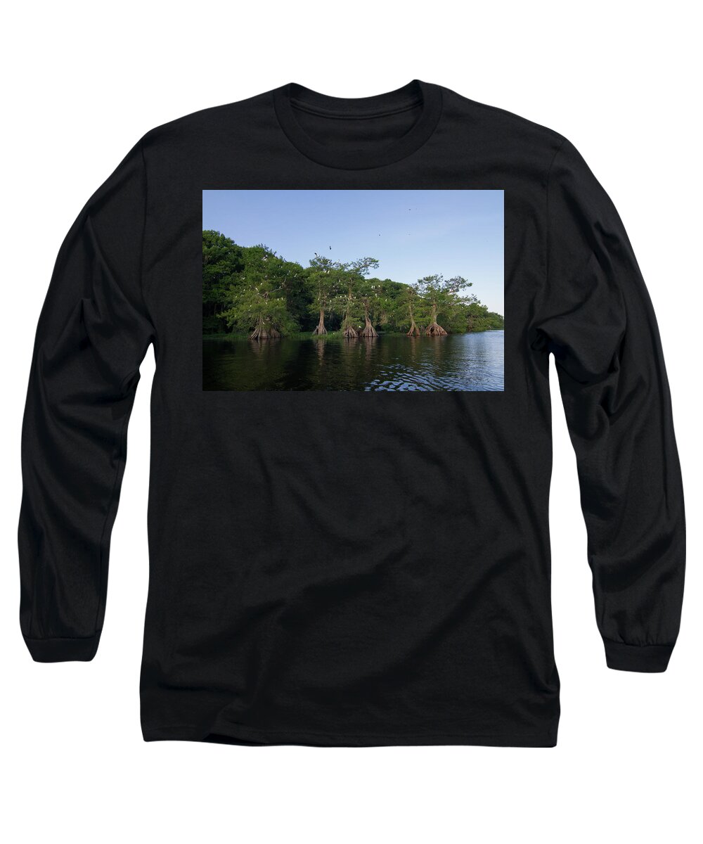 Cypress Long Sleeve T-Shirt featuring the photograph Lake Disston Rookery #2 by Paul Rebmann