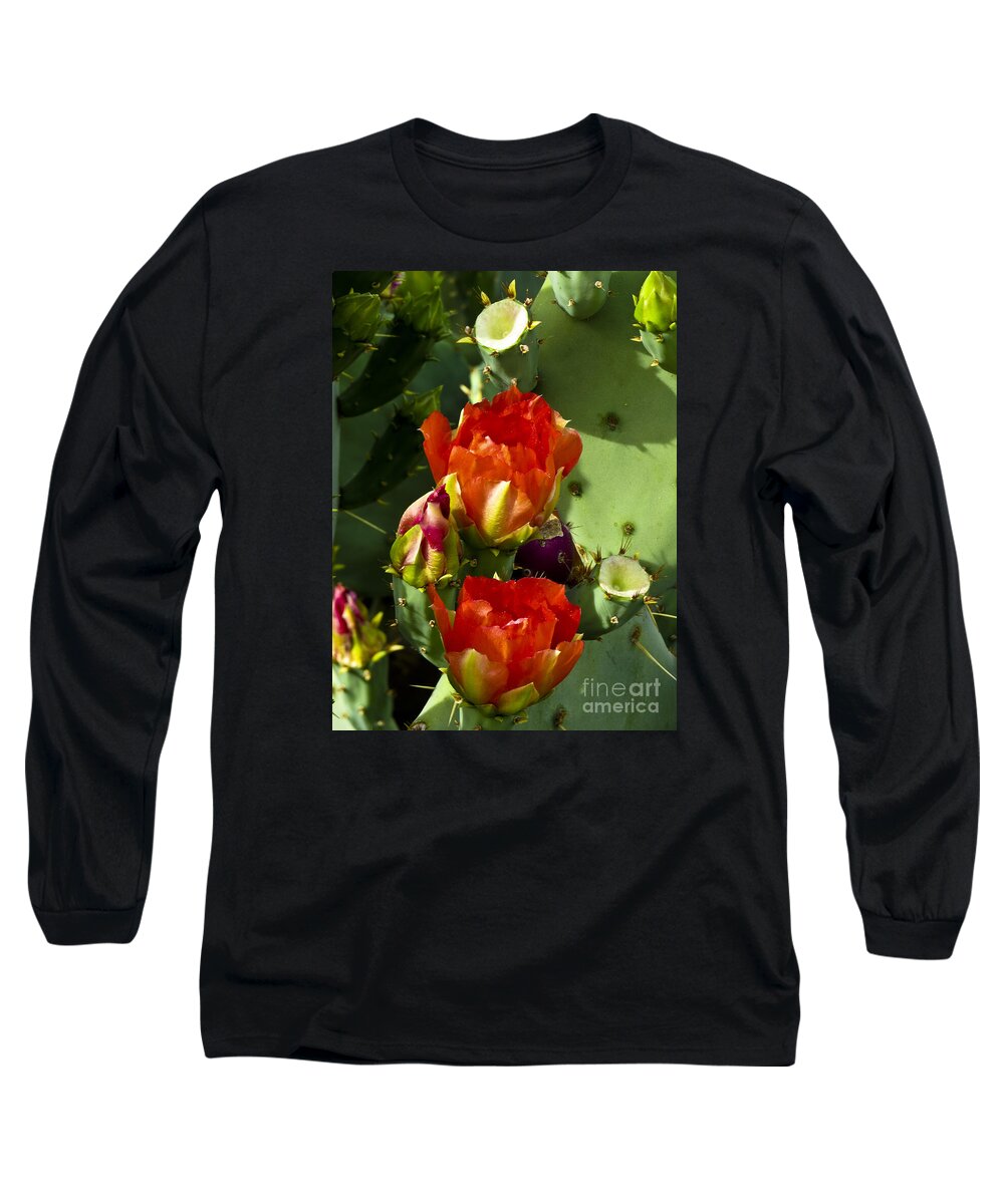Arizona Long Sleeve T-Shirt featuring the photograph Late Bloomer by Kathy McClure