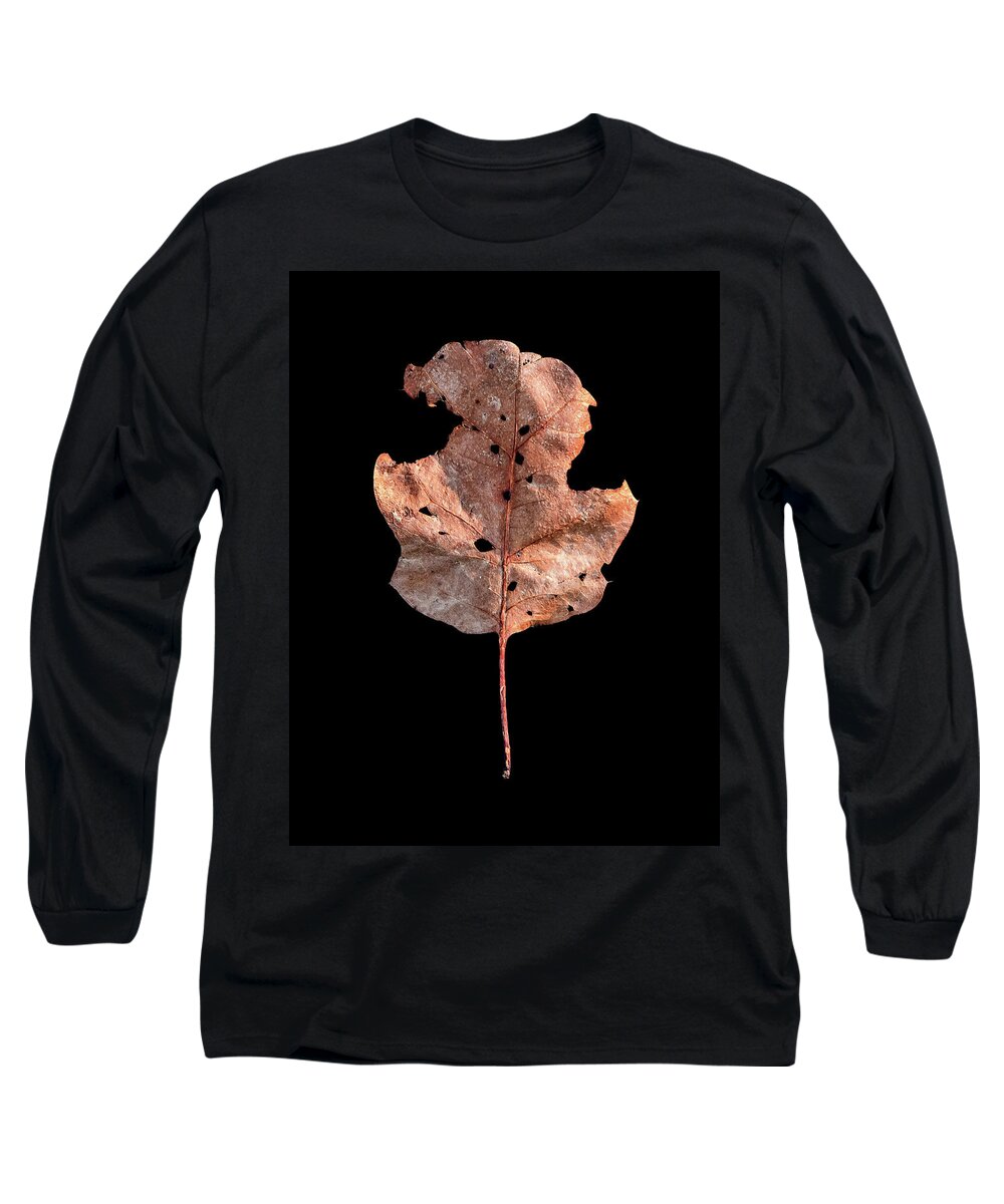 Leaves Long Sleeve T-Shirt featuring the photograph Leaf 24 by David J Bookbinder