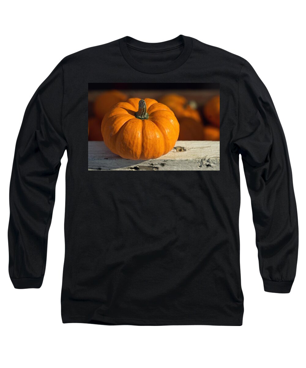 Skompski Long Sleeve T-Shirt featuring the photograph Little Pumpkin by Joseph Skompski
