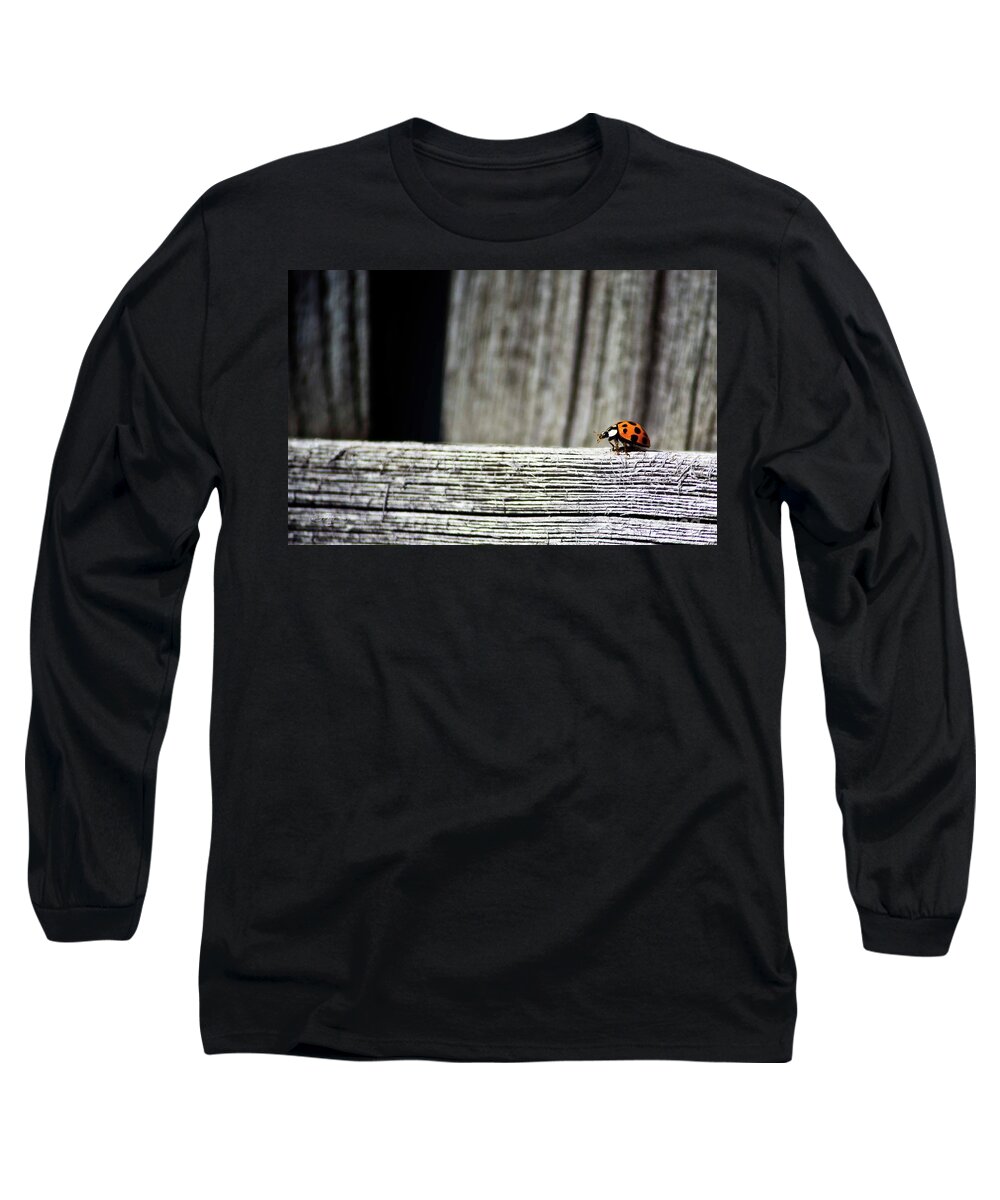 Air Long Sleeve T-Shirt featuring the photograph Lonely Ladybug by Ms Judi