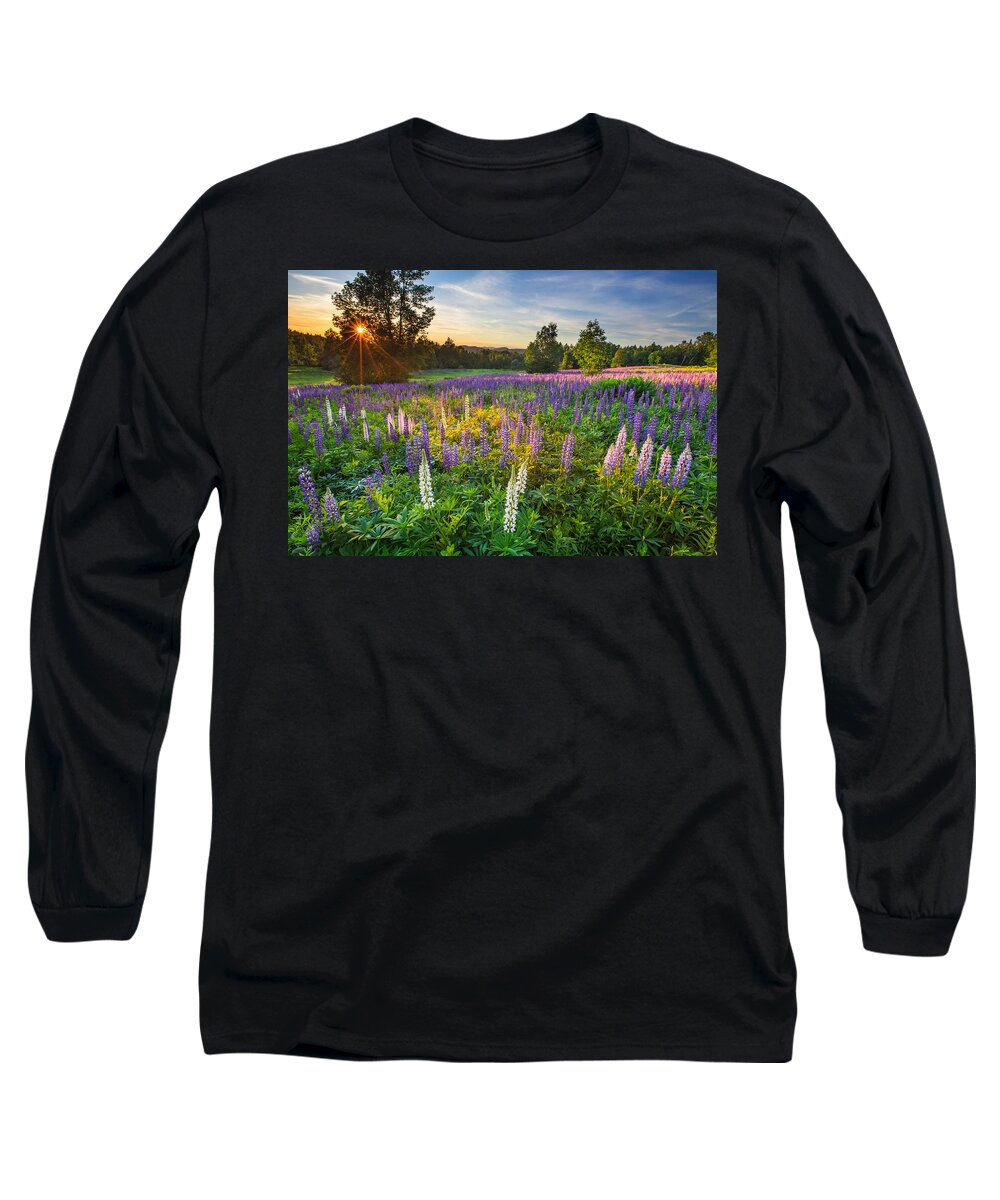 Lupine Field At Sunset Long Sleeve T-Shirt featuring the photograph Lupine Field at Sunset by White Mountain Images
