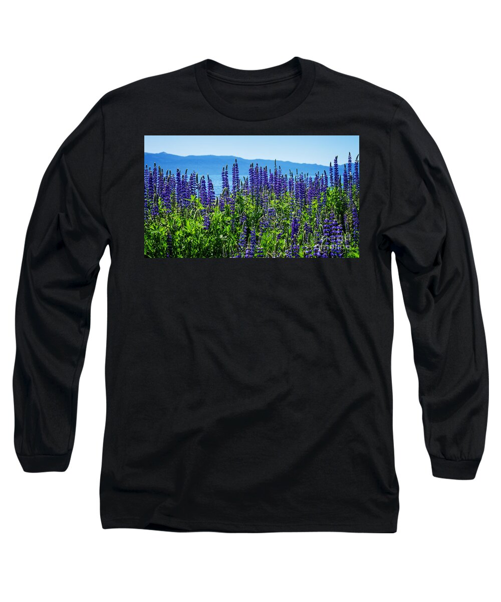 Lupine Long Sleeve T-Shirt featuring the photograph Lupine Flowers at Tahoe by Dianne Phelps