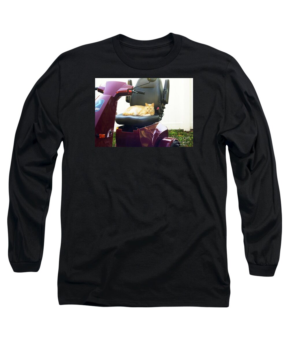 Cat Long Sleeve T-Shirt featuring the photograph MeGo and Erick 2 by Megan Dirsa-DuBois