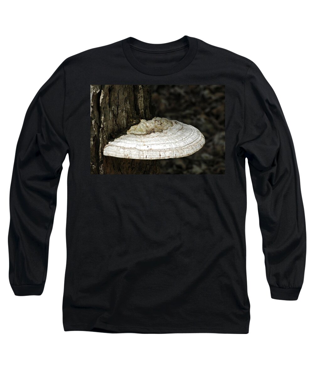 Tree Fungi Long Sleeve T-Shirt featuring the photograph MichiganTree Fungi by LeeAnn McLaneGoetz McLaneGoetzStudioLLCcom