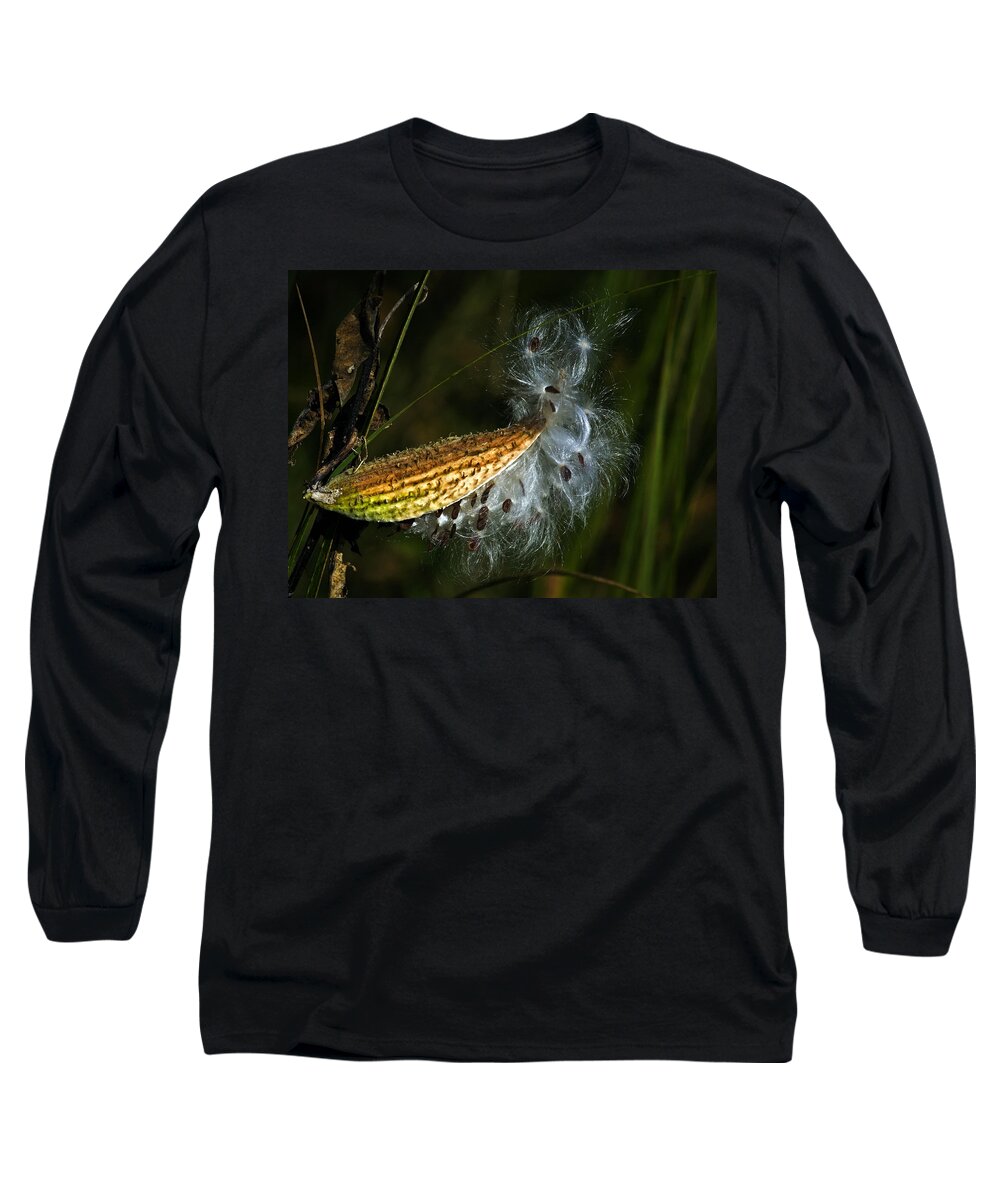 Autumn Long Sleeve T-Shirt featuring the photograph Milkweed pod by Al Mueller