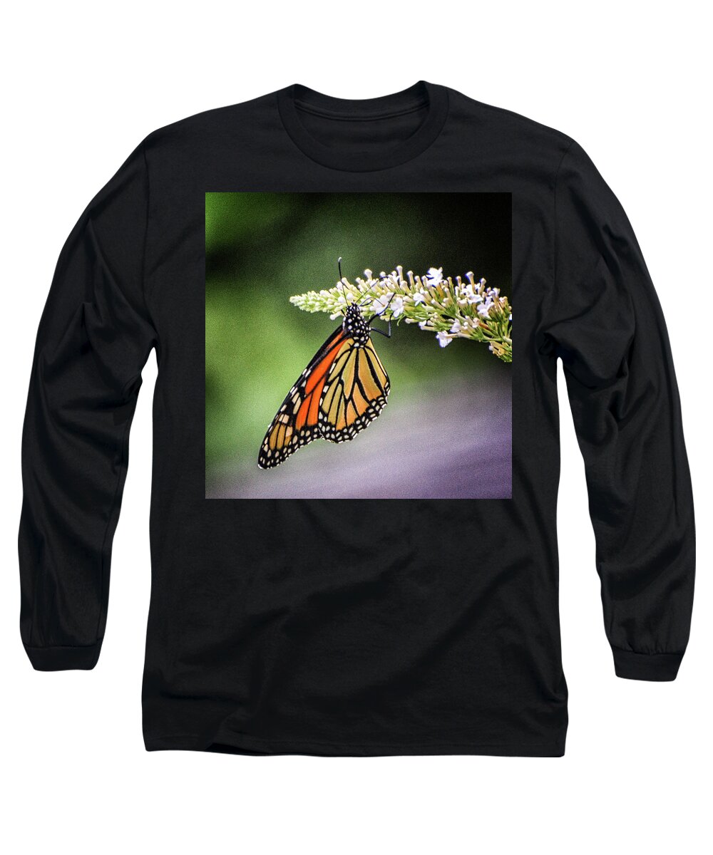 2010 Long Sleeve T-Shirt featuring the photograph Monarch Butterfly by Winnie Chrzanowski