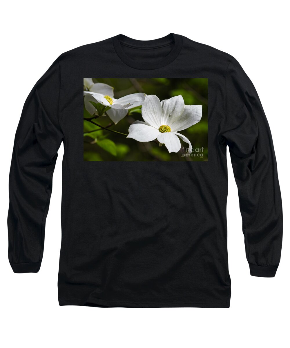Yosemite Long Sleeve T-Shirt featuring the photograph Morning Dogwoods 2 by Anthony Michael Bonafede