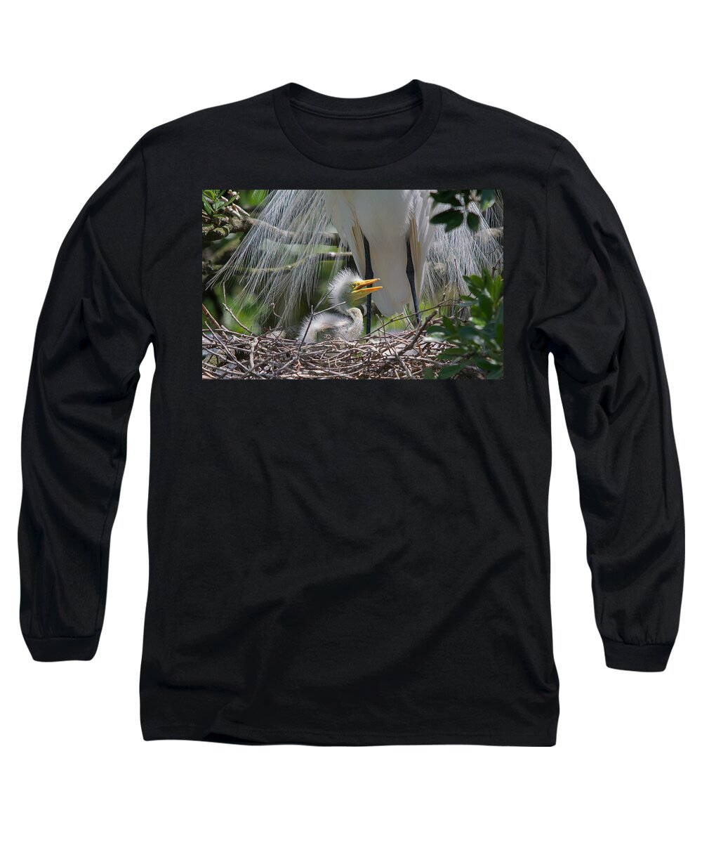 Wildlife Long Sleeve T-Shirt featuring the photograph Mother Love by Kenneth Albin