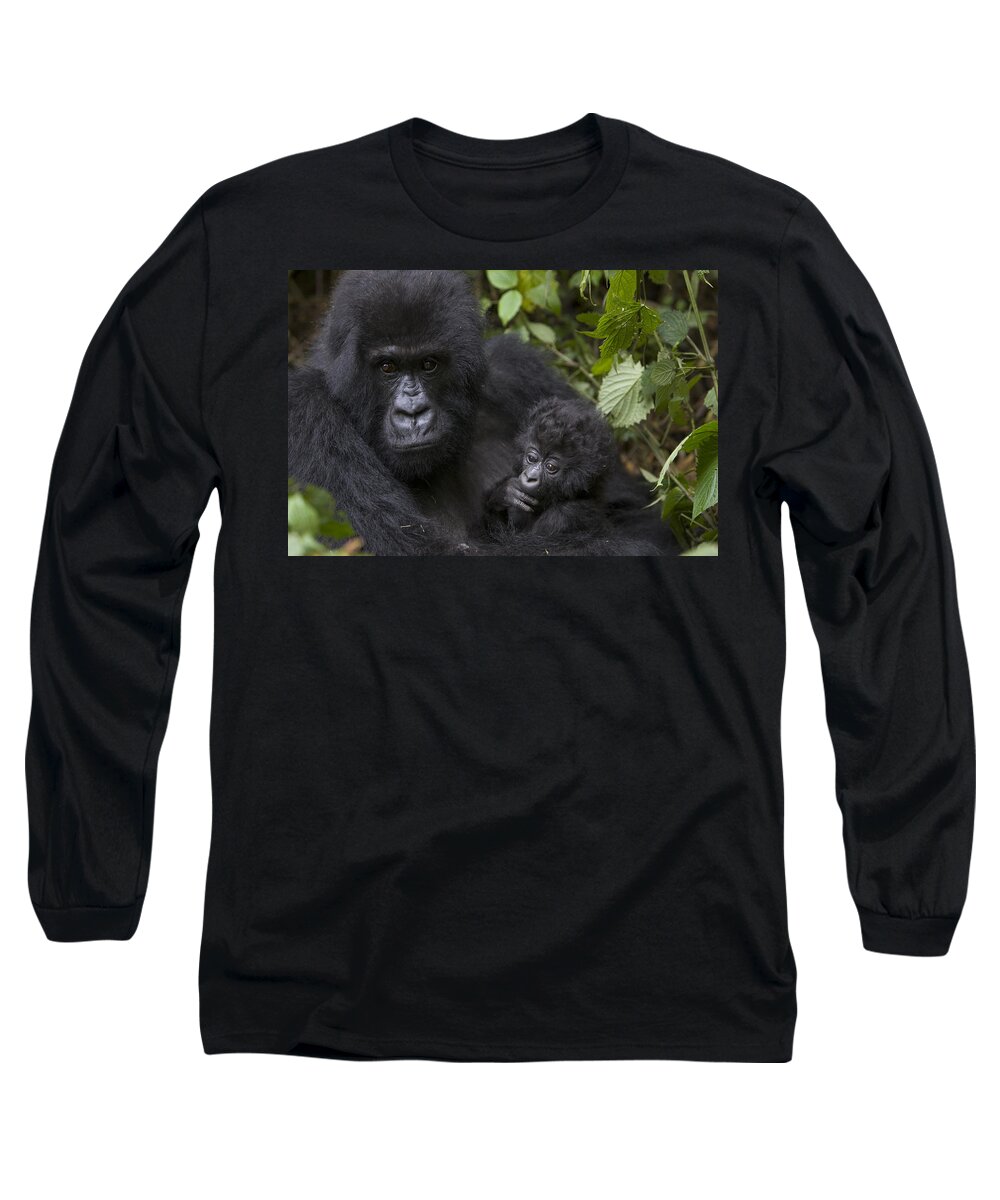 00761223 Long Sleeve T-Shirt featuring the photograph Mountain Gorilla Mother Holding 3 Month by Suzi Eszterhas