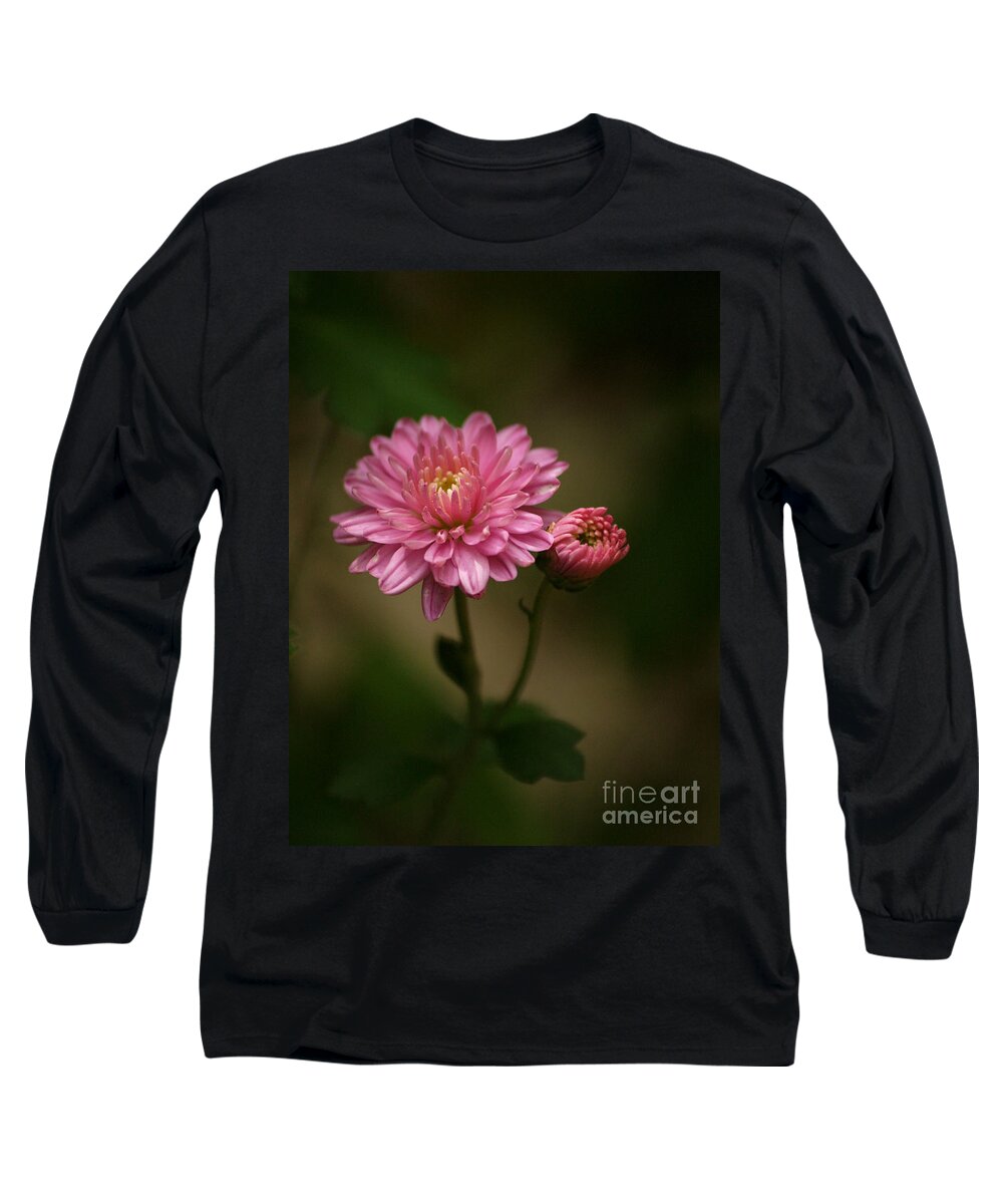 Flowers Long Sleeve T-Shirt featuring the photograph Mums In The Garden Shadows by Dorothy Lee