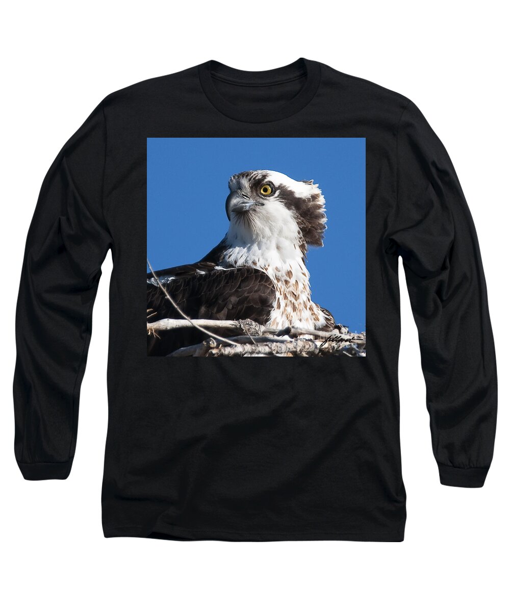 Osprey Long Sleeve T-Shirt featuring the photograph Nesting Osprey by Bon and Jim Fillpot