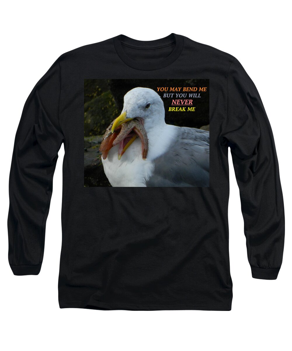 Seagulls Long Sleeve T-Shirt featuring the photograph Never Break Me by Gallery Of Hope 