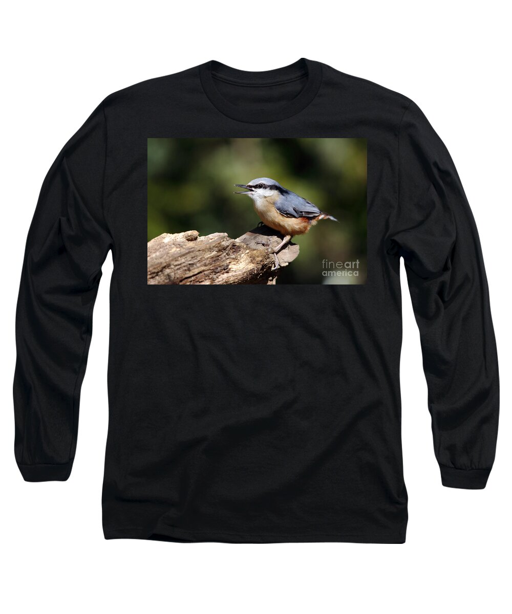 Nuthatch Long Sleeve T-Shirt featuring the photograph Nuthatch by Maria Gaellman