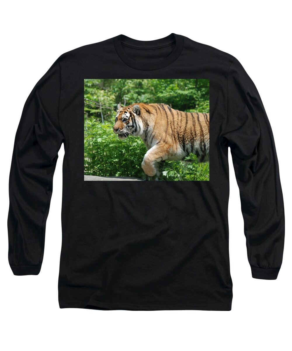 Tiger Long Sleeve T-Shirt featuring the photograph On the Prowl by Richard Bryce and Family