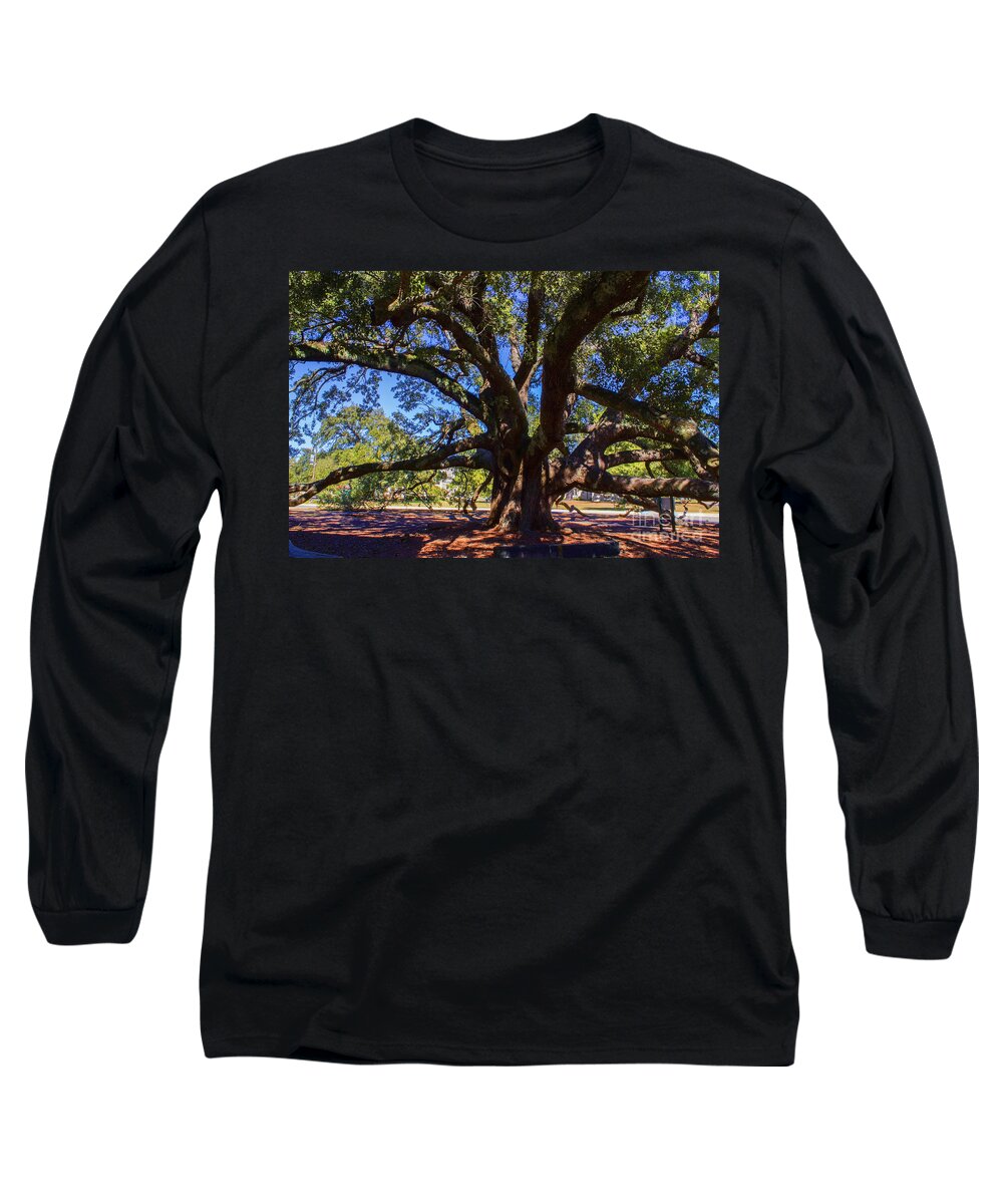 Tree Long Sleeve T-Shirt featuring the photograph One Friendship Tree by Roberta Byram