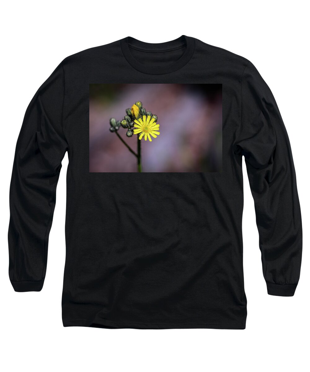 Flower Long Sleeve T-Shirt featuring the photograph Opening Day by Ron Dubreuil