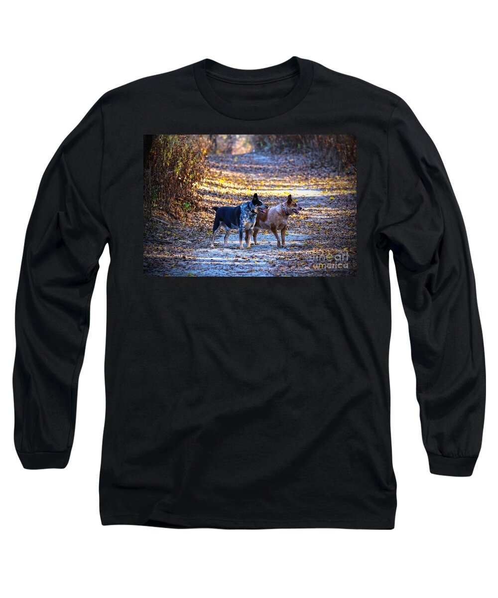 Australian Cattle Dog Long Sleeve T-Shirt featuring the photograph Out for a Walk by Elizabeth Winter