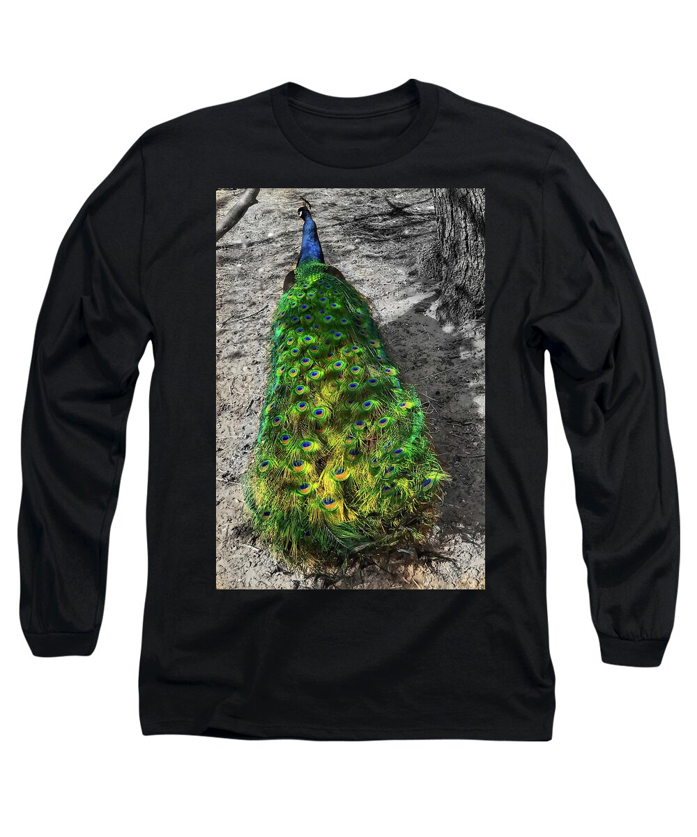 Peacock Long Sleeve T-Shirt featuring the photograph Out on a Walk by Doris Aguirre