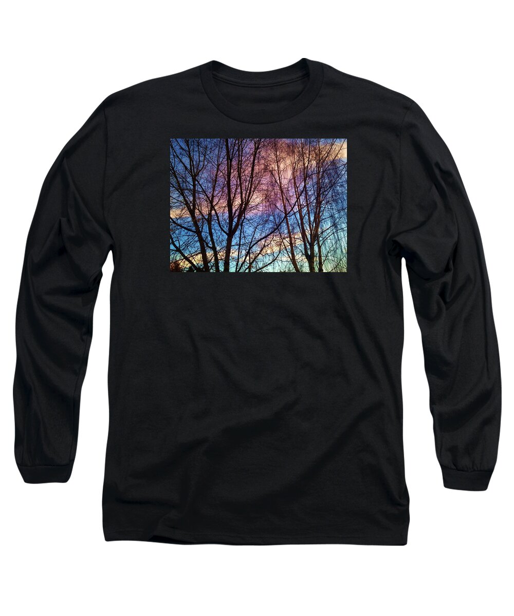 Sun Long Sleeve T-Shirt featuring the photograph Paintbrush III by Chris Dunn