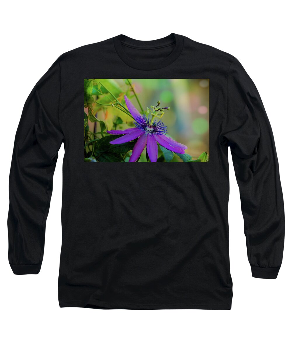 Nature Long Sleeve T-Shirt featuring the photograph Passion Dancer by Judy Wright Lott