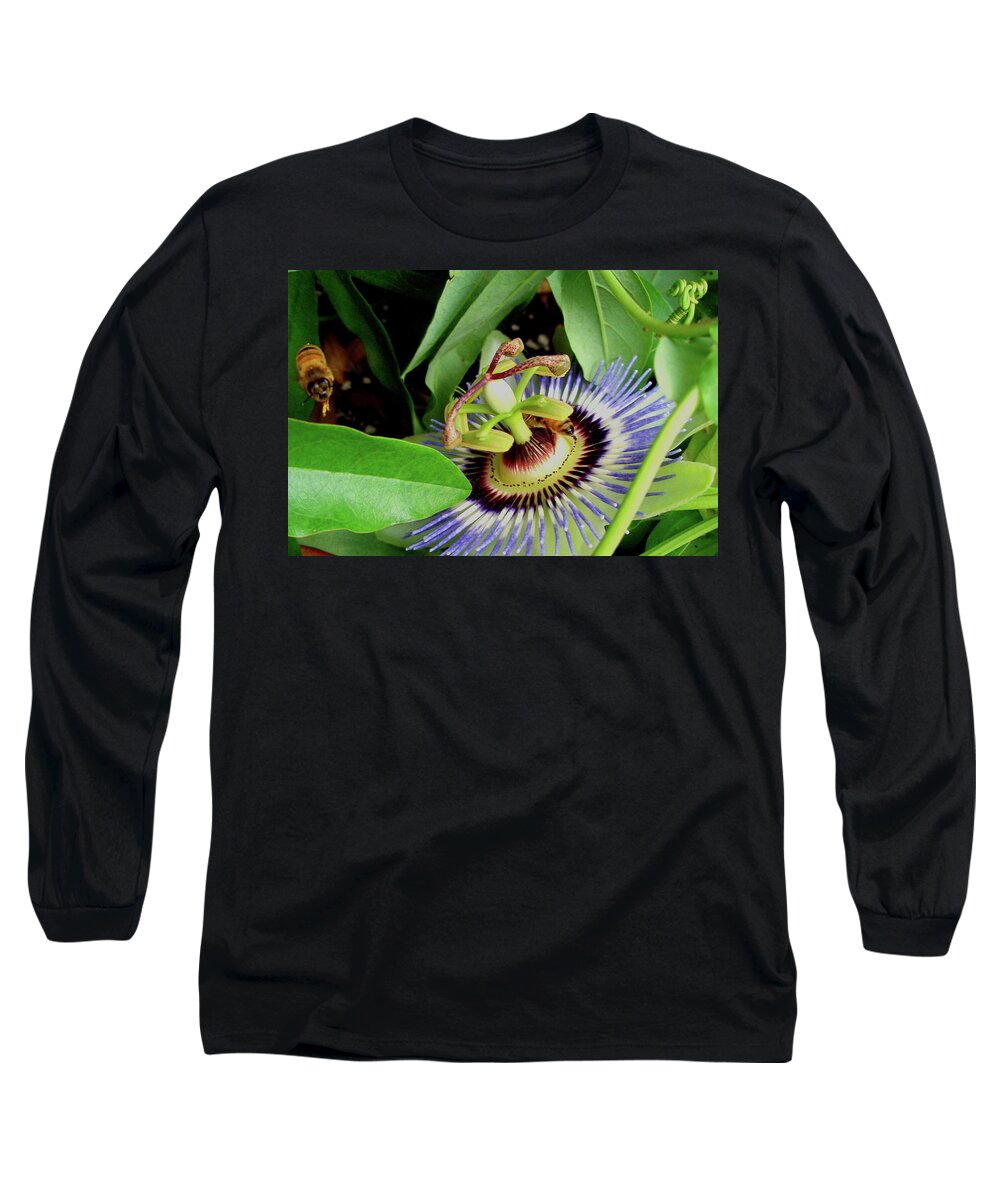 Passion Flower Long Sleeve T-Shirt featuring the photograph Passion Flower by Allen Nice-Webb