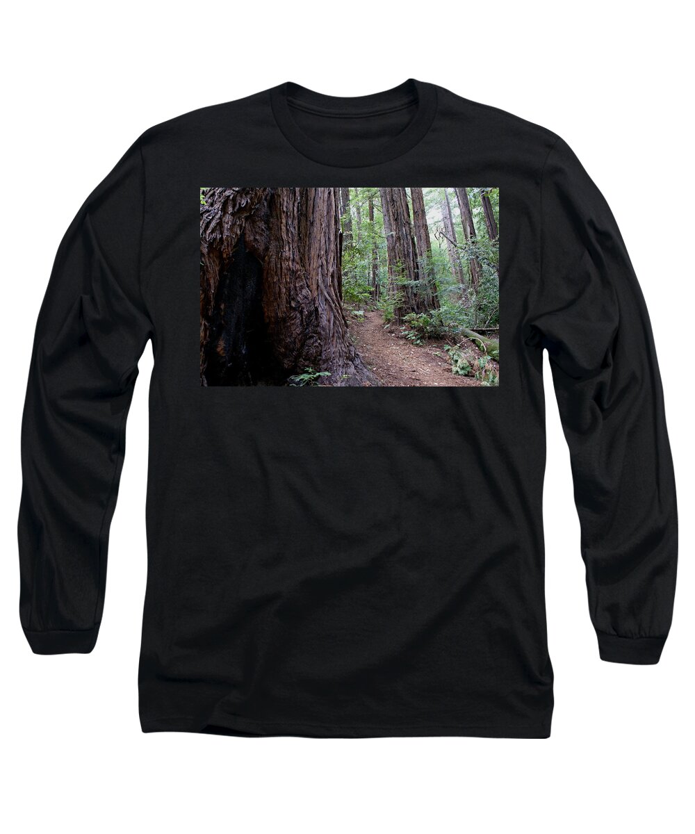 Mount Tamalpais Long Sleeve T-Shirt featuring the photograph Pathway through a Redwood Forest on Mt Tamalpais by Ben Upham III