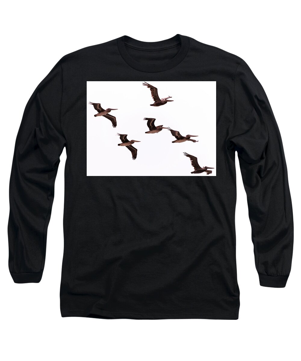 Pelicans Long Sleeve T-Shirt featuring the photograph Pelicans at Half Moon Bay by Steven Richman