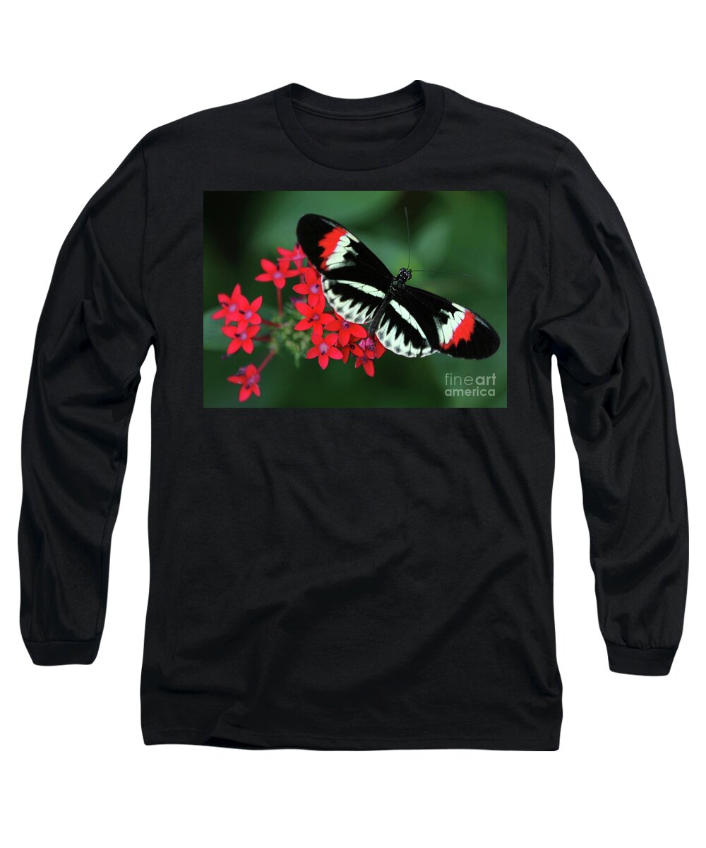 Butterfly Long Sleeve T-Shirt featuring the photograph Piano Key Butterfly by Sabrina L Ryan
