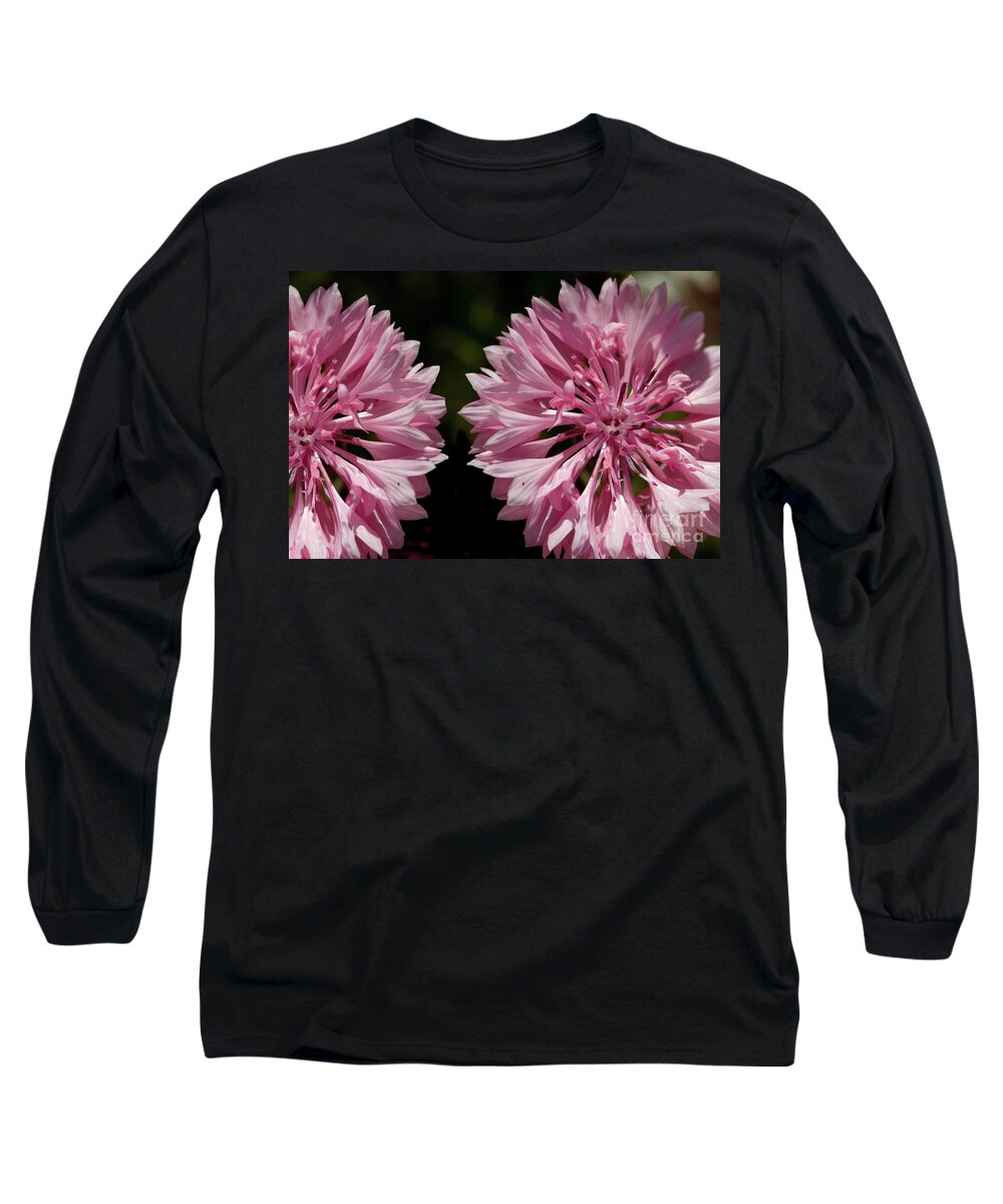 Cornflower Long Sleeve T-Shirt featuring the photograph Pink cornflowers by Baggieoldboy