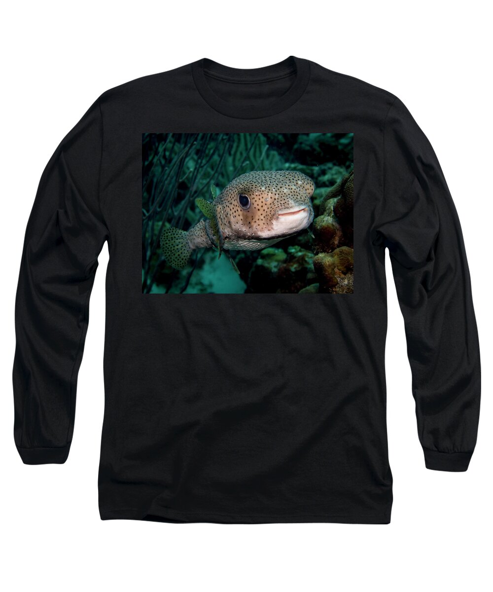 Bonaire Long Sleeve T-Shirt featuring the photograph Porcupine Fish by Jean Noren