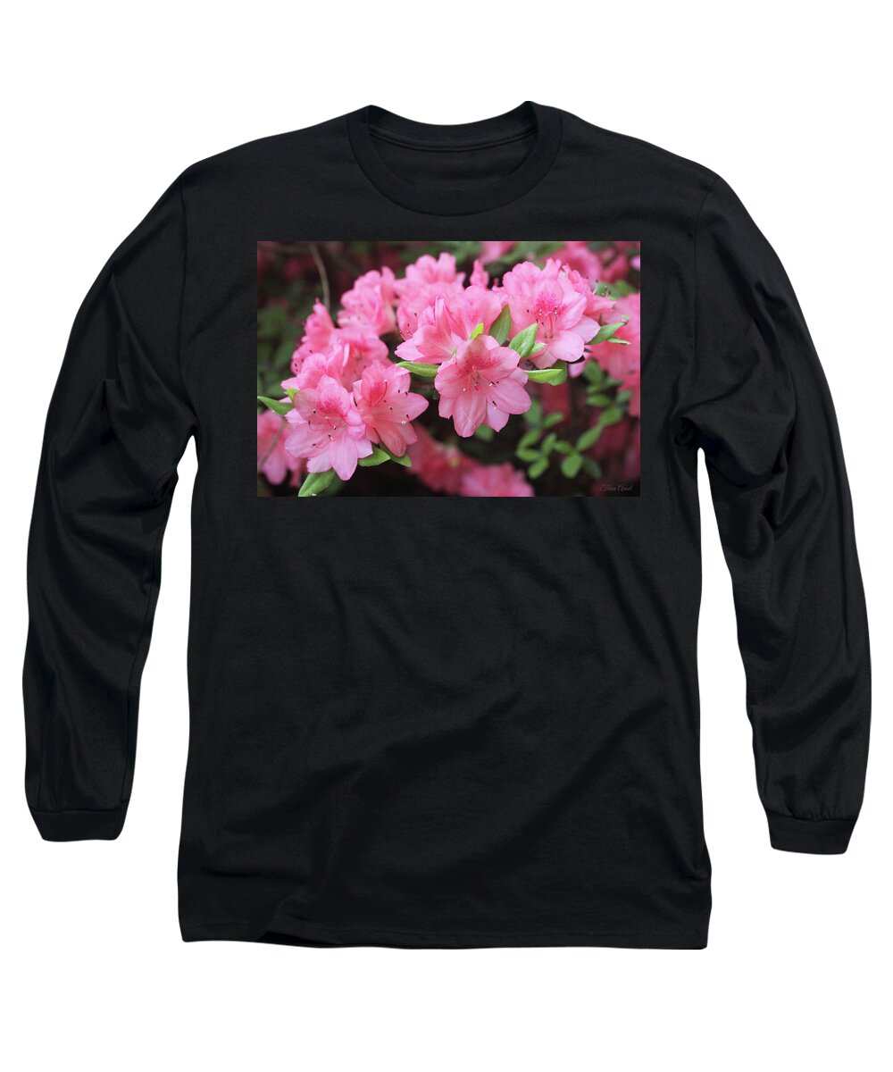Flowers Long Sleeve T-Shirt featuring the photograph Pretty Pink Azalea Blossoms by Trina Ansel