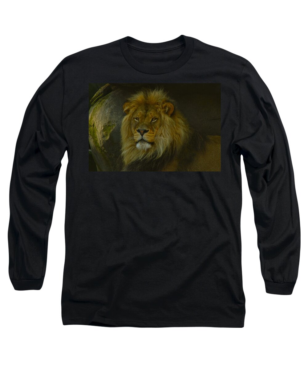Lion Long Sleeve T-Shirt featuring the photograph Pride Land by Laddie Halupa