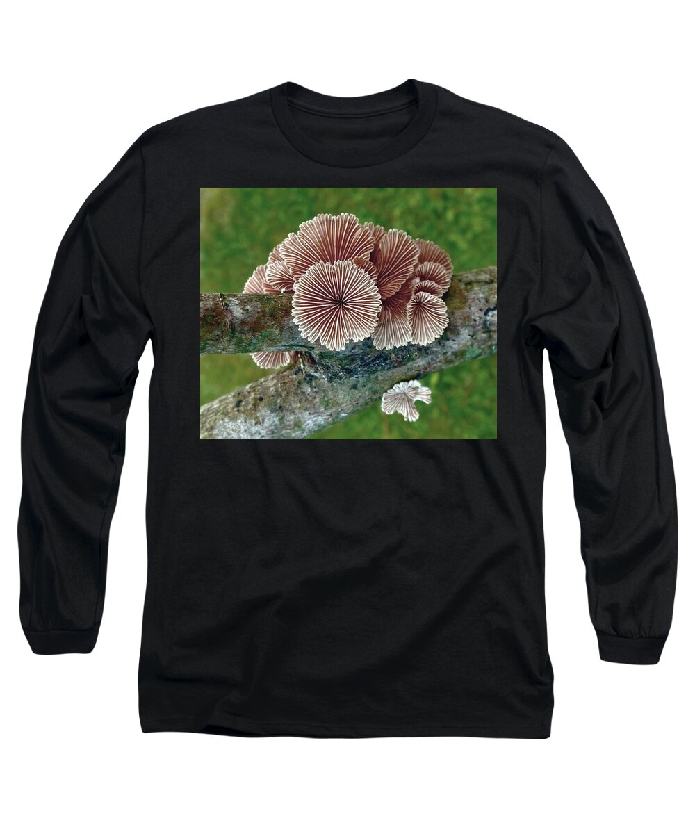 Psychedelic Long Sleeve T-Shirt featuring the photograph Psychedelichen by Danielle R T Haney