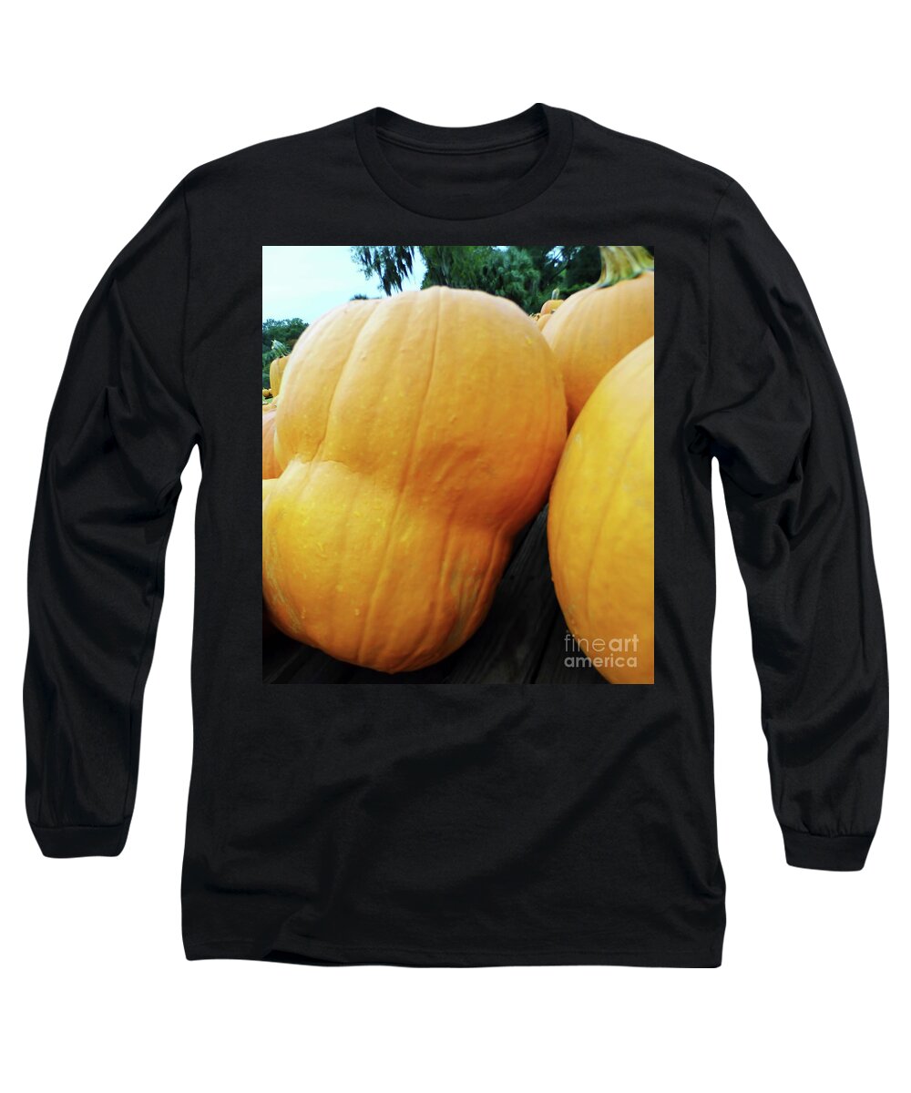 Gourd Long Sleeve T-Shirt featuring the photograph Pumpkin With A Waistline by D Hackett