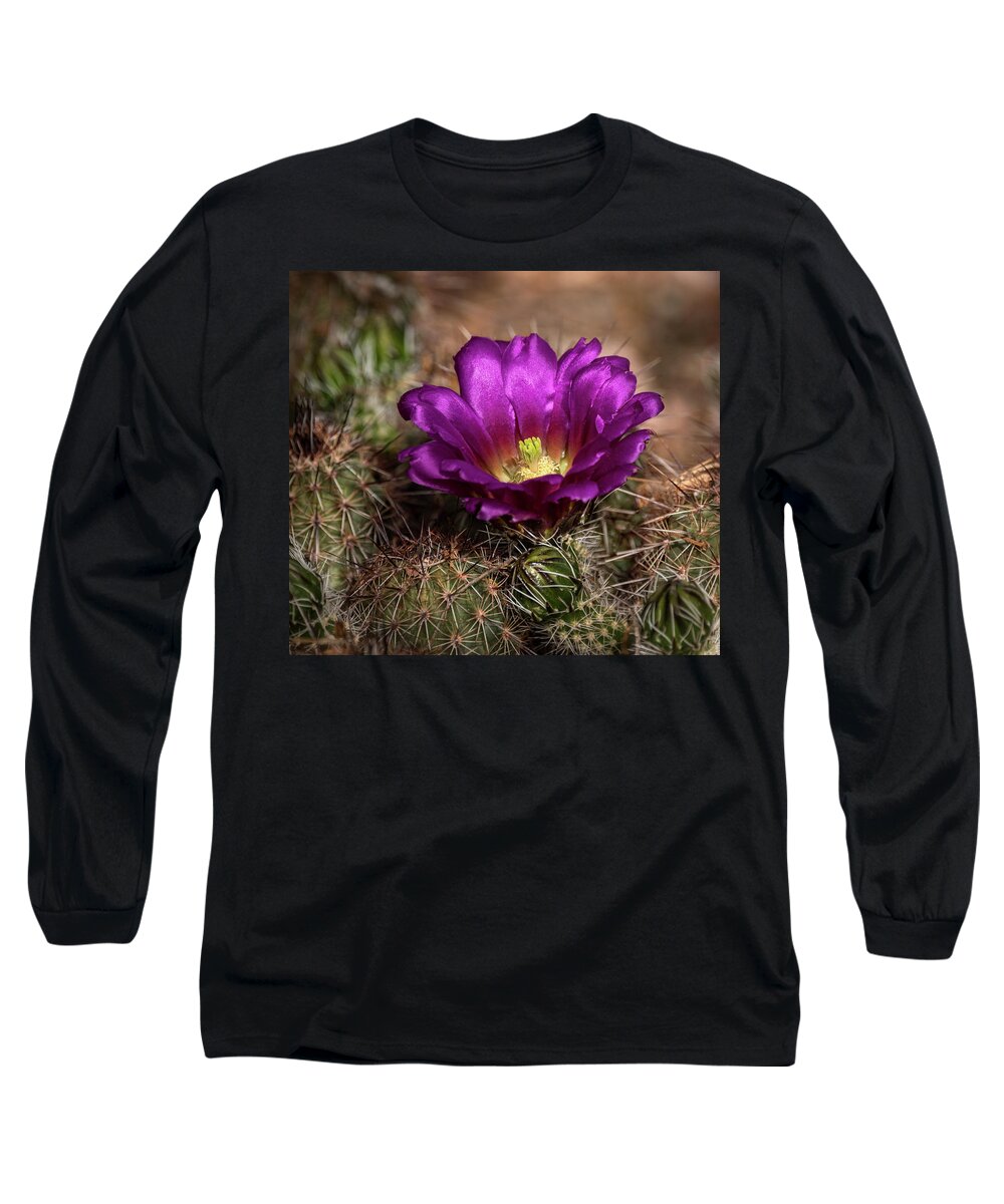 Purple Cactus Flower Long Sleeve T-Shirt featuring the photograph Purple Cactus Flower by Saija Lehtonen