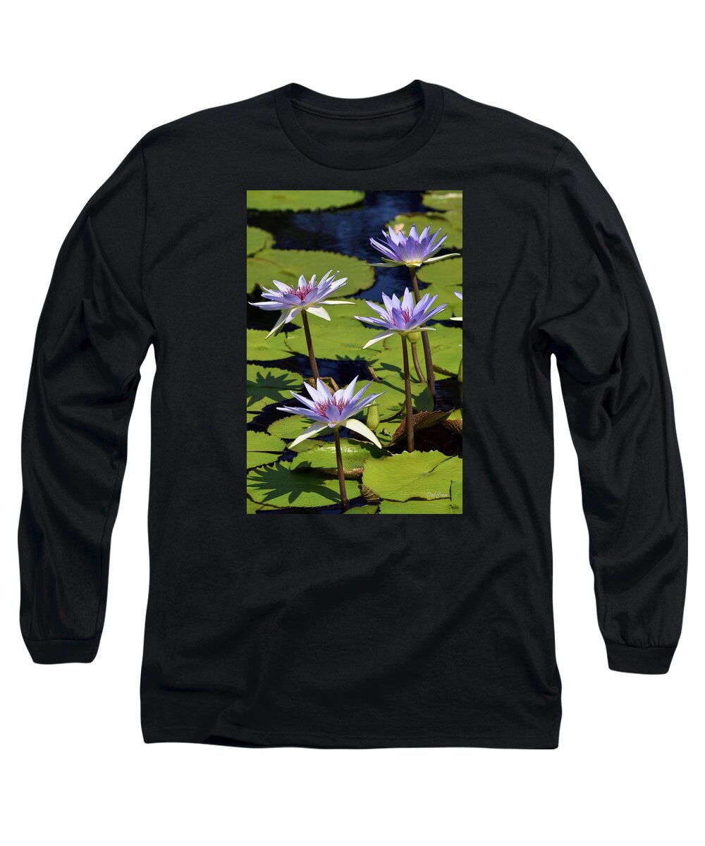 Lily Long Sleeve T-Shirt featuring the photograph Purple Sparks by Deborah Crew-Johnson