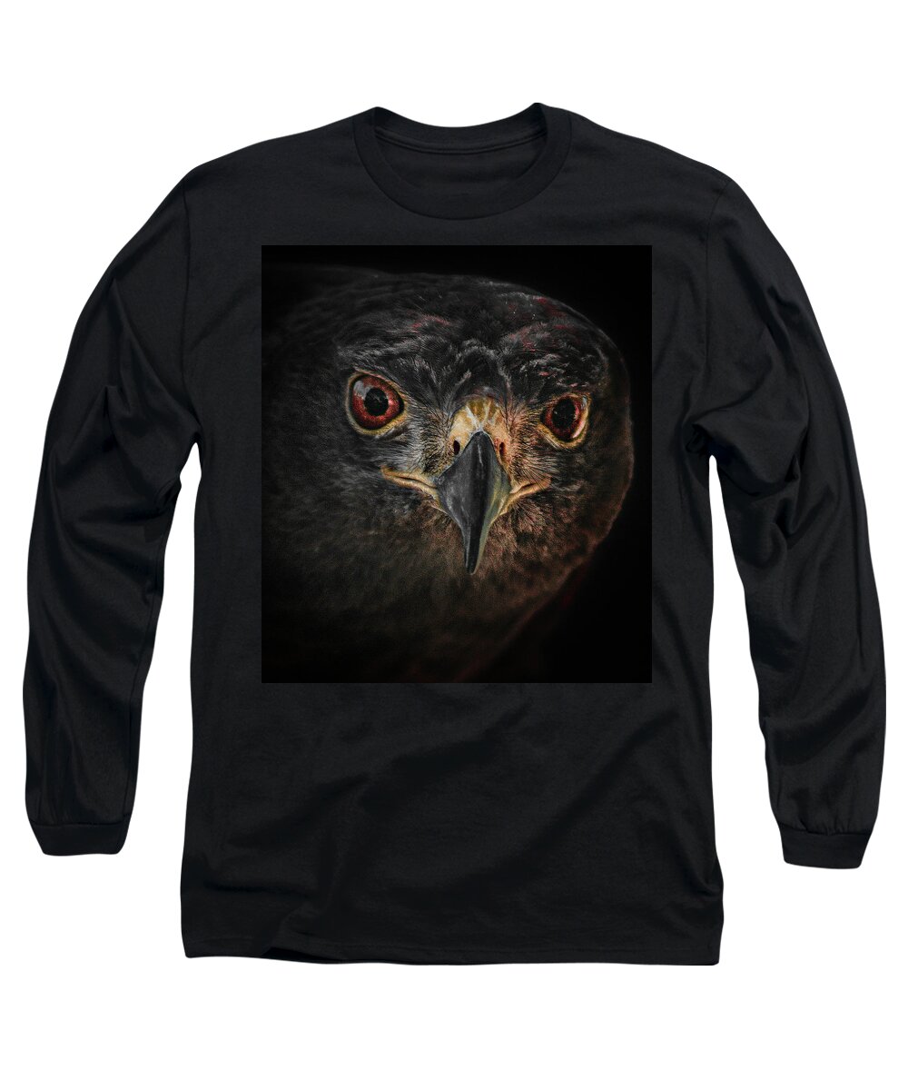 Bird Long Sleeve T-Shirt featuring the photograph Rapt Raptor by Jim Painter