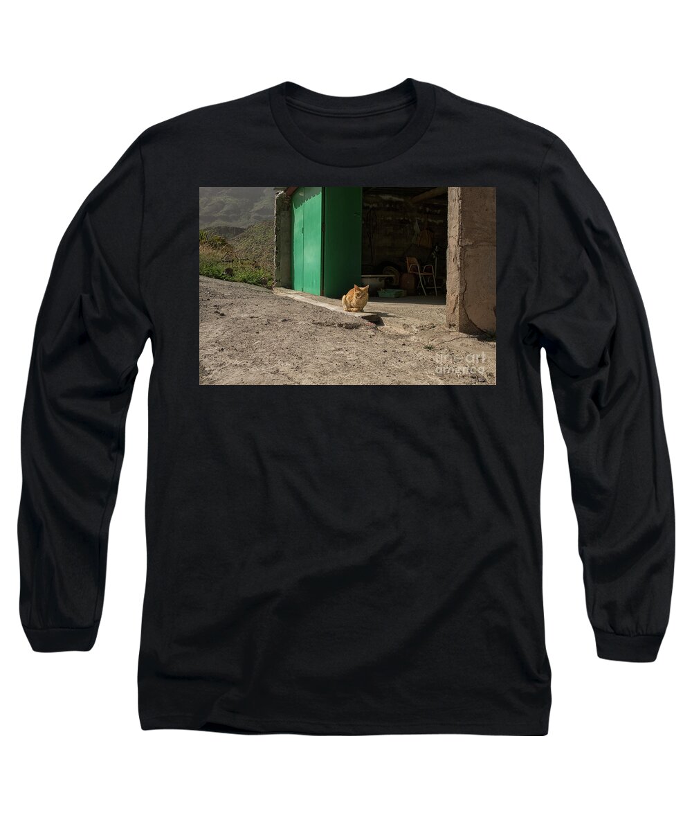 Red Long Sleeve T-Shirt featuring the photograph Red cat and green shed by Patricia Hofmeester