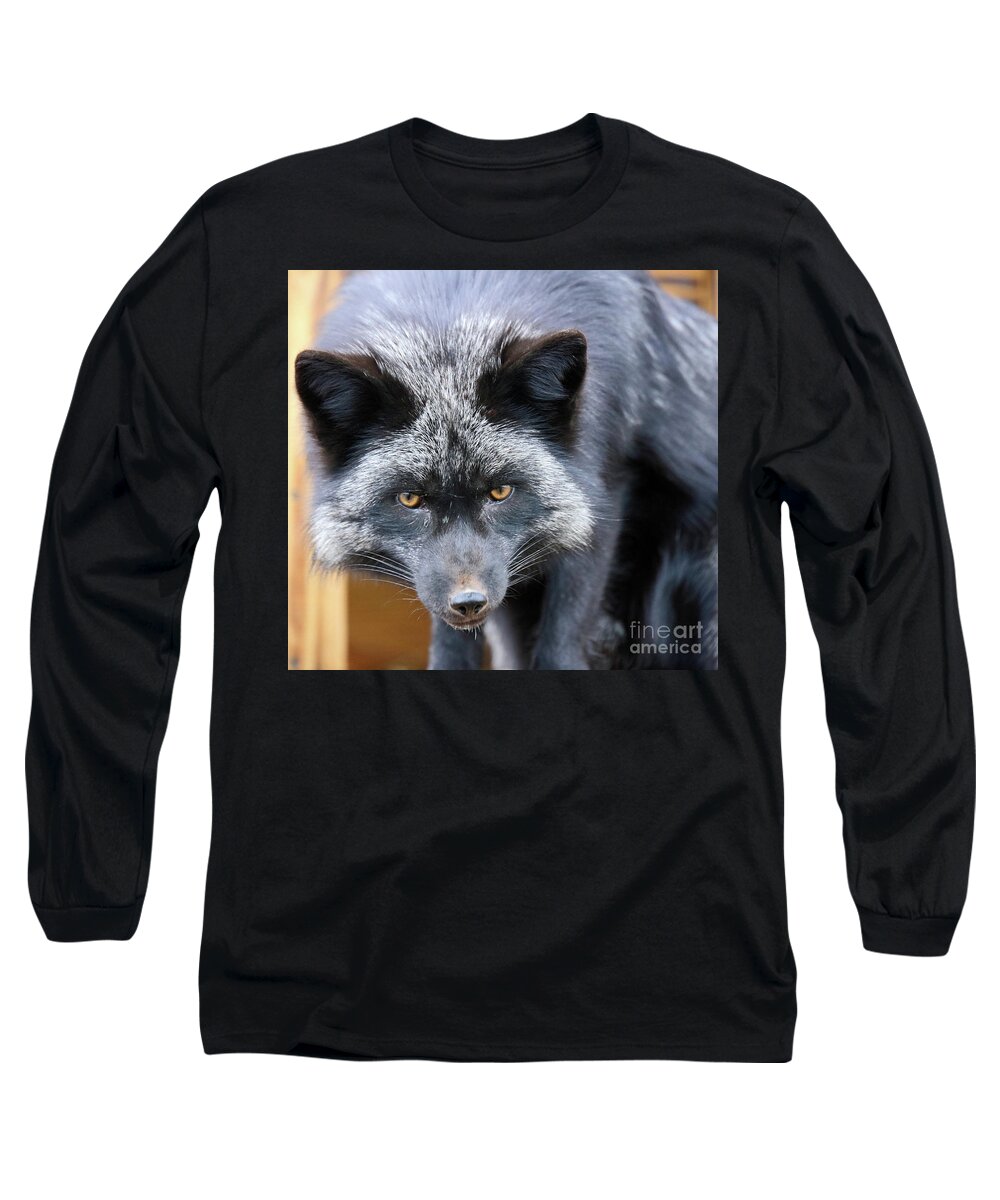 Fox Long Sleeve T-Shirt featuring the photograph Red Fox in black by Steve Gass