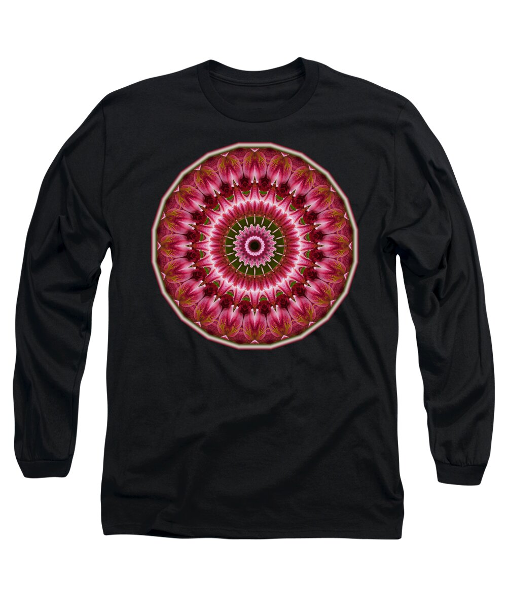 Roses Long Sleeve T-Shirt featuring the digital art Red Roses and Thorns by Lynde Young