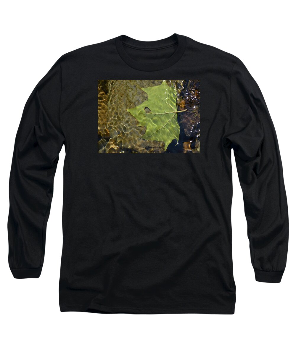 Leaf Long Sleeve T-Shirt featuring the photograph Reflected Indignation by Char Szabo-Perricelli